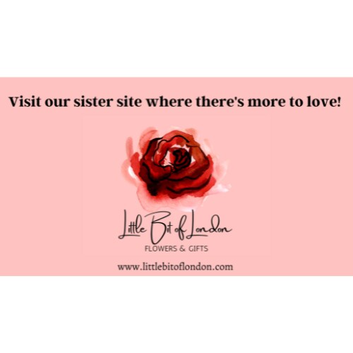 www.littlebitoflondon.com